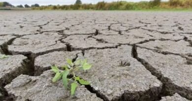 Climate variability complicating crop sowing in Brazilian farming states