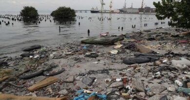 Environmental crisis resurfaces after accident in Guanabara Bay