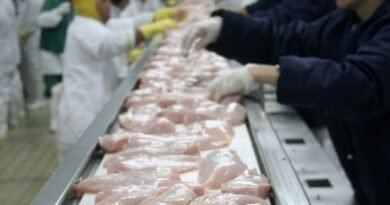 Brazil encouraged with UK larger quota for chicken meat and sugar