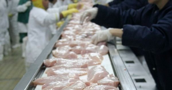Brazil encouraged with UK larger quota for chicken meat and sugar