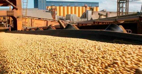 Brazilian agriculture record sales; China main client, soy and beef leading exports