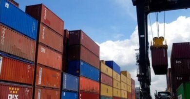 Brazil exports remain concentrated in commodities and imports  in industrial goods, WTO report