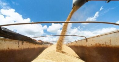 China takes 52,5 million tons of Brazilian soy in eleven months of 2022