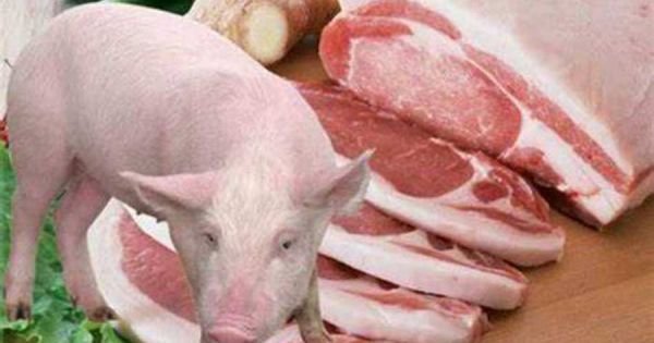First shipment of Paraguayan pork lands in Taiwan