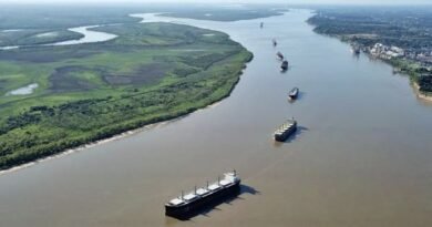 River navigation poses new challenges to Paraguay