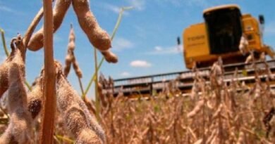 Paraguay trade deficit reached US$ 1,3billion in 2022 speared by a 16,1% increase in imports