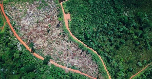 Lula insists on demarcating indigenous lands in Amazon rainforest