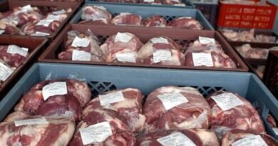 Brazil recovers the Russian market for its beef exports