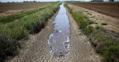 Uruguayan agricultural emergency extended until when?