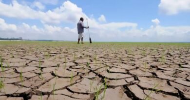 Brazil launches platform to spot climate vulnerable terrain