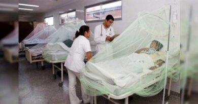 Chikungunya kills 90 people in Paraguay so far this year