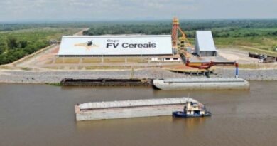 Brazil ready to supply Argentina with soybeans for the its crushing industry