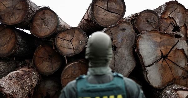 Brazil: Fines for environmental infractions up almost 90% under Lula