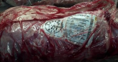 Brazil's Minerva Foods profits sustained with shipments from Uruguay and Argentina