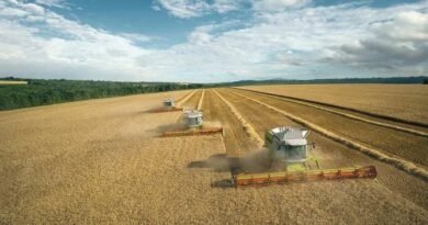 Brazil declares a record harvest of soy beans, 156 million tons in 2023