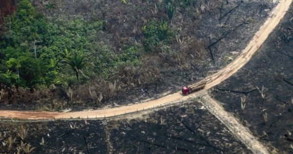 Brazil tops list of deforestation-hit countries, study shows