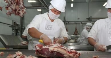 Canada opens up to Paraguayan beef