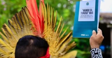 Brazilian Constitution translated to indigenous language