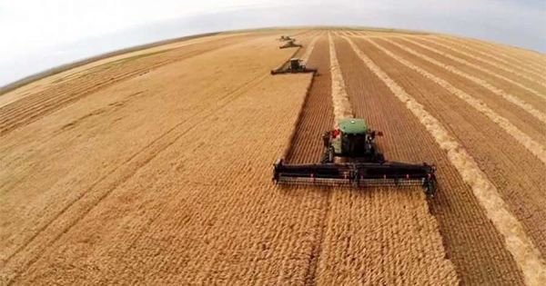 Brazil's 2022/23 harvest is expected to reach 317,5 million tons with a planted area of 78,2 million hectares