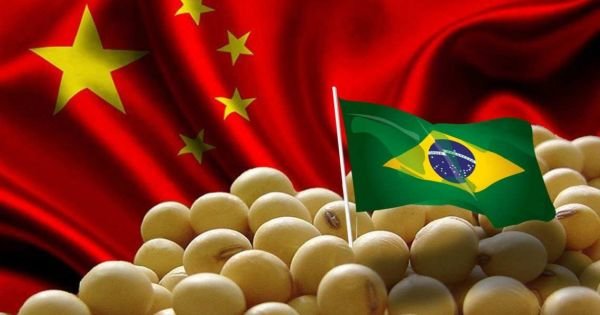 Brazil dominates increasing share of China's soybean market