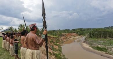 Two indigenous lands in Brazilian Amazon demarcated