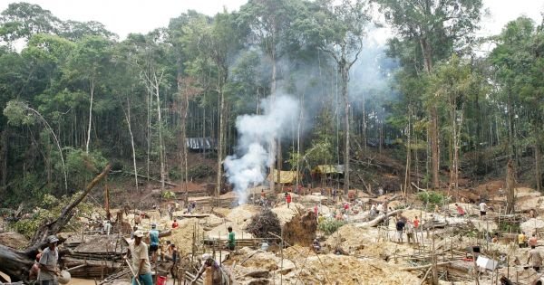 Brazil: illegal mining spreads onto 35,000 hectares