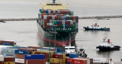 Uruguayan exports suffer 17% YoY drop