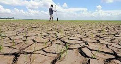 Agricultural emergency extended in Uruguay