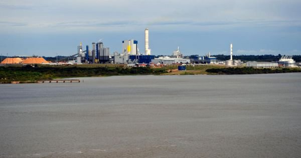 Uruguay sanctions Finnish paper company UPM for caustic soda spill into watercourse