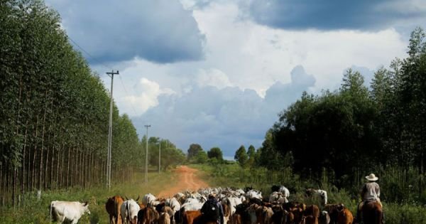 Paraguay's agriculture exports keep growing