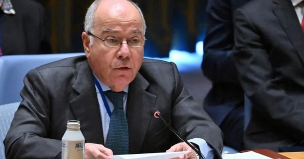 Brazilian FM critical of UN Security Council