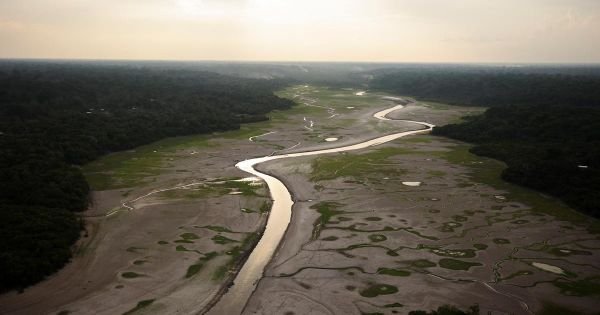 Entire Brazilian State of Amazonas gripped by drought
