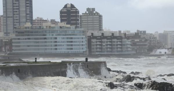 Extratropical cyclone already causing damage in Maldonado, Uruguay