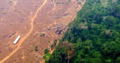 France to donate € 500 million to Brazil's Amazon Fund