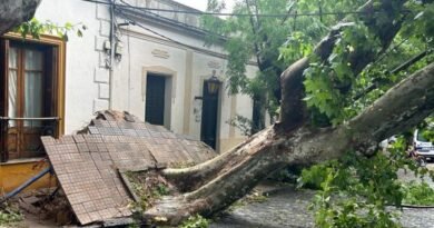 Fallen trees result in two deaths in Uruguay amid storm