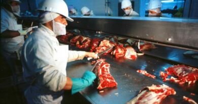 Saudi Arabia gives green light to Paraguayan meat exports