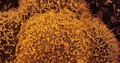 New strain of Covid-19 detected in Brazil