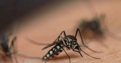 Montevideo wages sanitary war against mosquitoes
