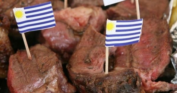 Uruguay beef export up 11,5% in January; Brazil to remain leader in poultry and beef global sales
