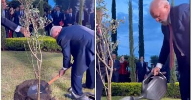 Lula plants tree of “hope” at Palestinian Embassy