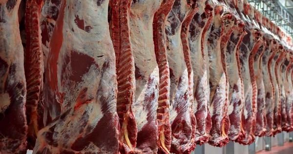 Asunción's Lower House condemns US Senate's decision banning Paraguayan beef