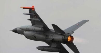 Milei deepens ties with Washington by choosing used F-16 jets