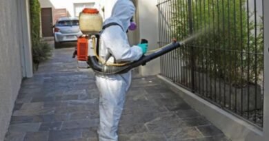 Mosquitoes invading Montevideo, not the ones carrying dengue