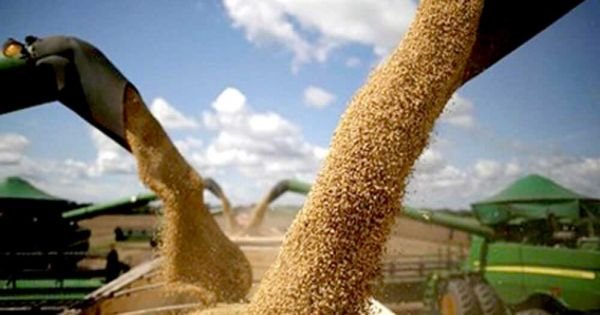 Brazil leads the world in exports of seven food commodities