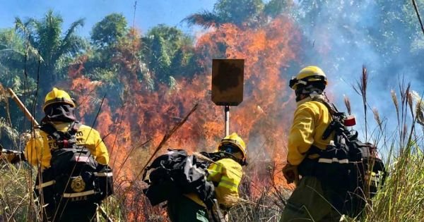 Virtual schooling adopted in Paraguayan areas hit by wildfires